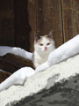 Qui�tude de mars